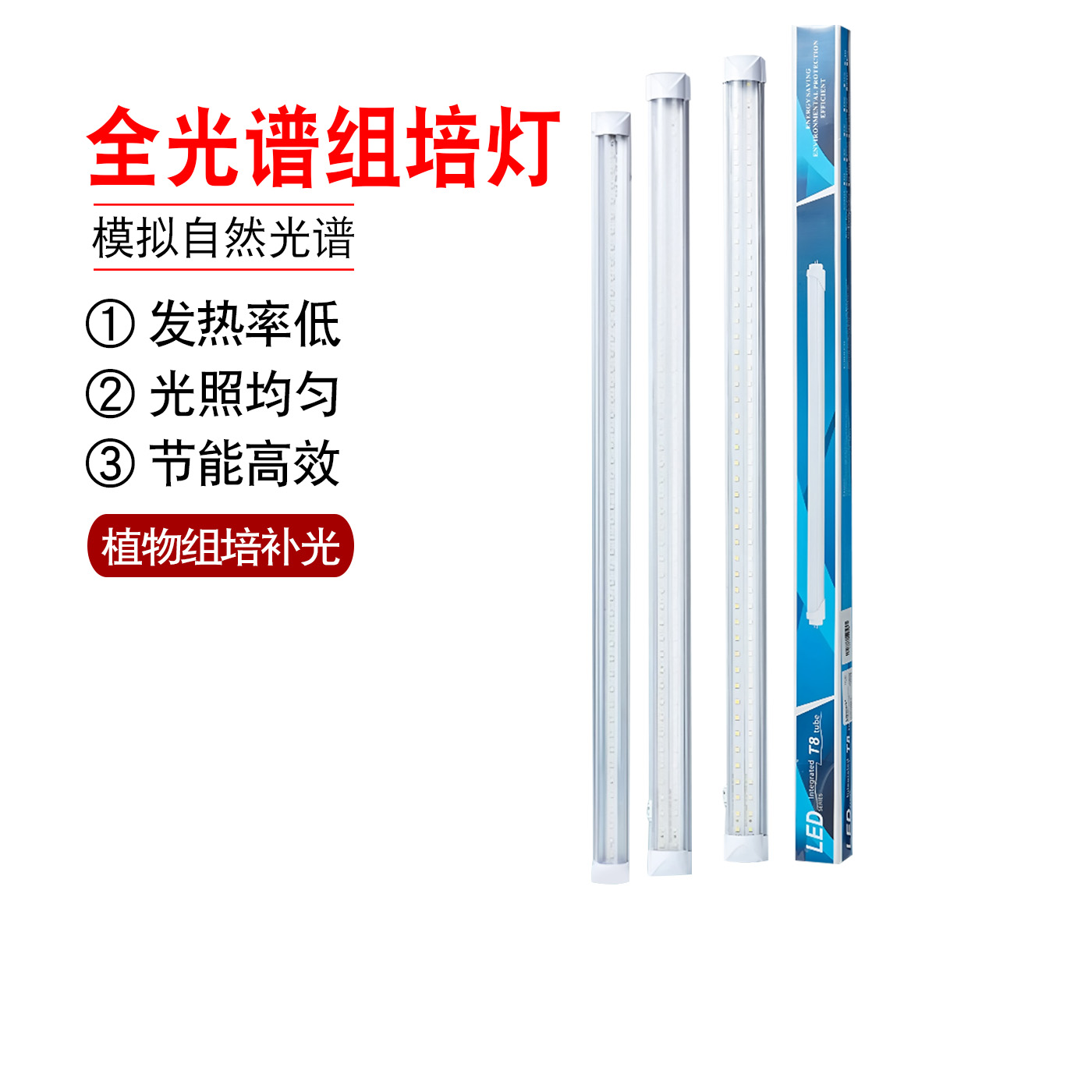 全光谱组培灯T8 LED植物组培灯实验室组培补光灯蔬菜盆景育苗