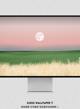 GUESSWP  2张简约小清新超清4K壁纸平板iPad壁纸Macbook电脑J5