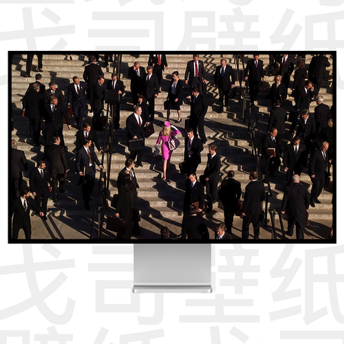 GUESSWP 1张律政俏佳人电影高清壁纸手机平板电脑高清壁纸M11