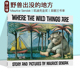 Where 凯迪克金奖绘本 英文原版 Are 吴敏兰书单 Wild Maurice Sendak莫里斯桑达克 野兽国 The Things 地方 野兽出没