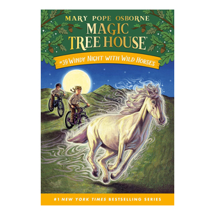 Night with 神奇树屋39 学生课外读物儿童桥梁章节书 风夜野马 Windy Horses 英文原版 Wild