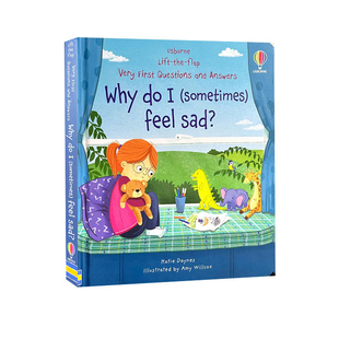 Very sad? 儿童启蒙宝宝情绪礼仪 预售 Why Questions 你问我答翻翻书 First Answers Usborne feel 尤斯伯恩