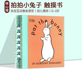 触摸书 儿童读物 拍拍小兔子 5岁 婴幼香味玩具书 英文原版 经典 绿山墙 Pat Bunny 亲子互动书 英文带插图 the