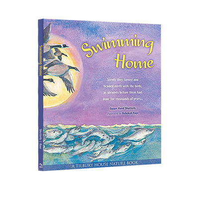 英文原版SwimmingHome