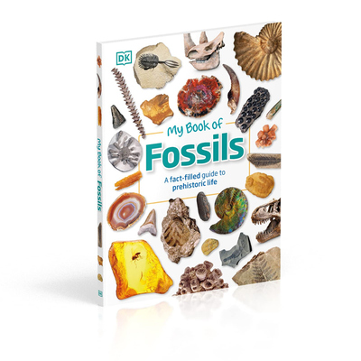我的化石之书自然科普