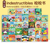 2岁婴幼儿启蒙认知 Baby Workman出品咬咬书 英文原版 Shapes Indestructibles the Find 安全无毒可水洗撕不破咬不坏