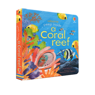 预售 Usborne Peep Inside a Coral Reef 偷偷看里面系列 珊瑚礁 英文原版绘本 纸板翻翻奇妙洞洞书 大自然启蒙认知