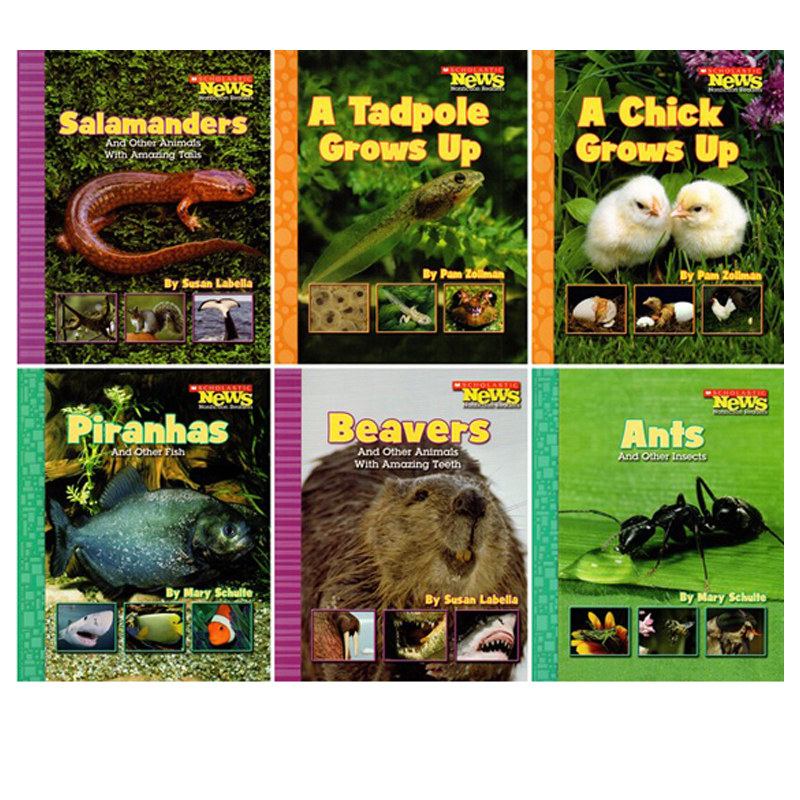 英文原版 Scholastic News Nonfiction Readers:Animals Weather 6册合售 非虚构读物 学乐启蒙绘本图画故事书