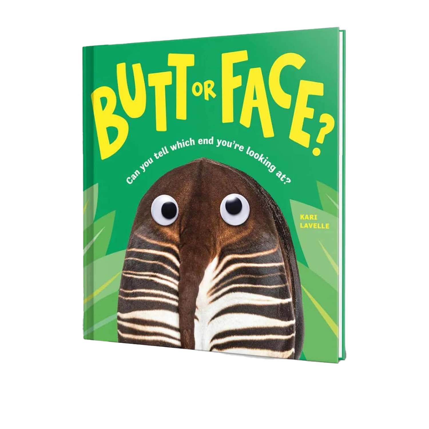 英文原版 Butt or Face?趣味动物猜谜精装绘本 儿童动物知识科普图画书 Sourcebooks