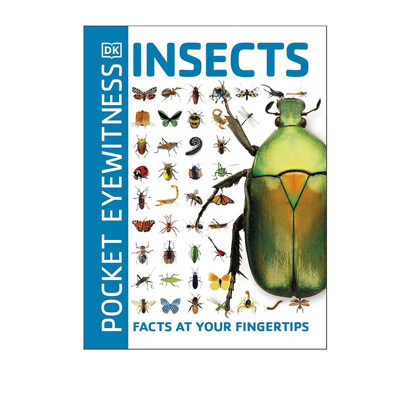预售 英文原版 DK目击者口袋系列 Pocket Eyewitness Insects 昆虫 DK百科 全彩口袋书 昆虫百科 知识探索科普百科图鉴