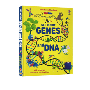 预售 英文原版 See Inside Genes and DNA 看里面系列之基因和DNA 精装 翻翻书儿童启蒙认知纸板书 青少年科普 尤斯伯恩
