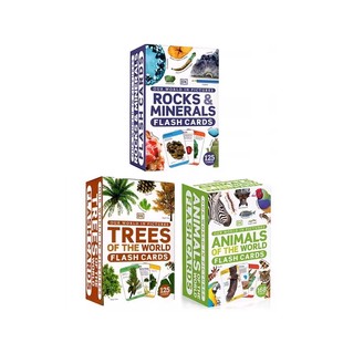DK儿童科普读物 3盒 Body Our World Flash Trees Pictures DK闪卡 英文原版 Animals Cards Human