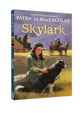 英文原版 Skylark 云雀 又丑又高的莎拉同作者 Patricia MacLachlan 儿童文学小说