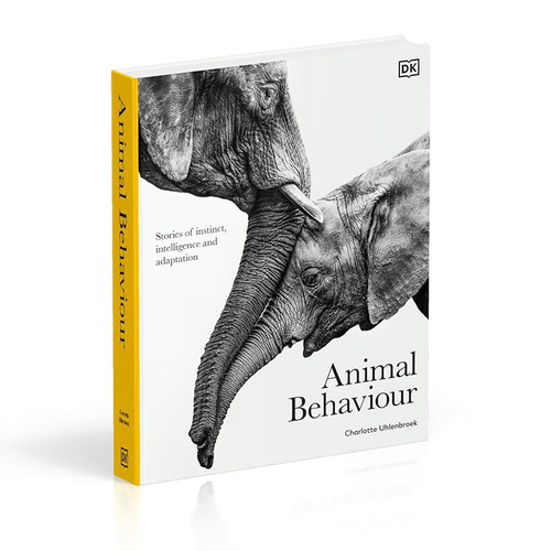 英文原版 Animal Behaviour  动物行为 视觉百科 本能 智力和适应的故事 动物科普精装 探索动物世界奥秘