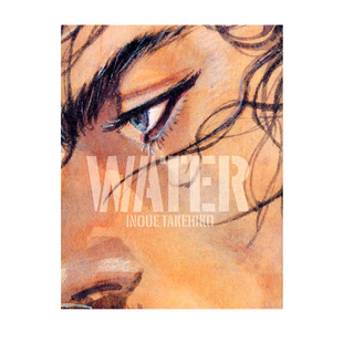 现货 井上雄彦 浪客行画集 水 重版 日文原版 バガボンド画集「WATER」 宫本武藏 Inoue Takehiko 讲谈社 绿山墙日文原版