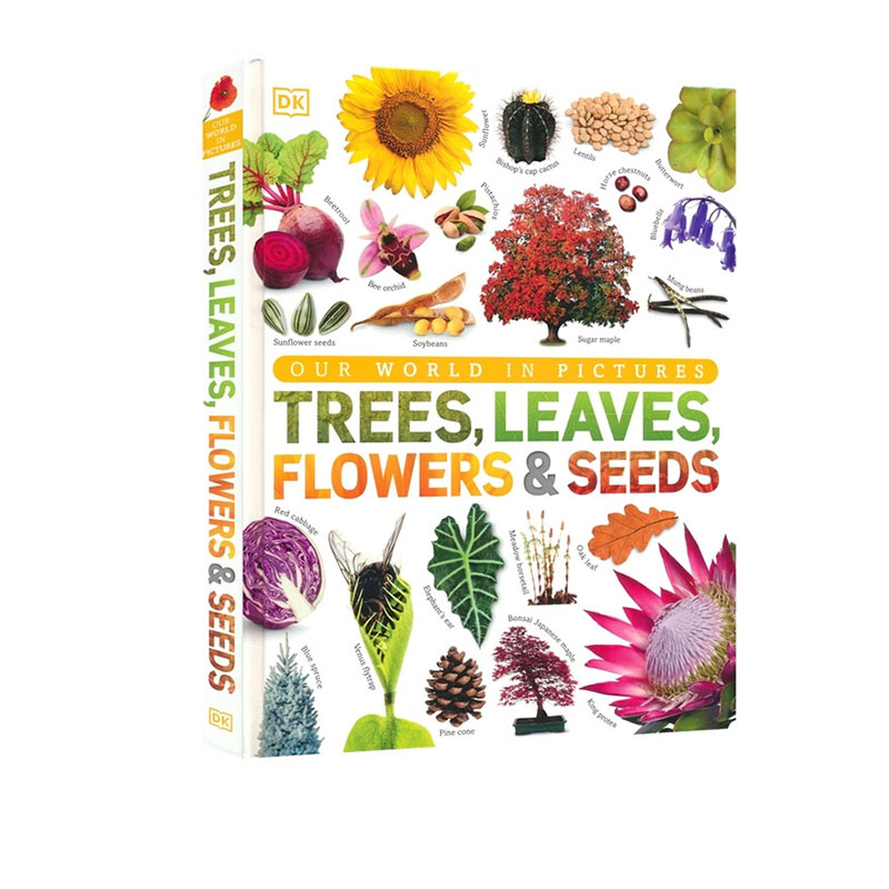 英文原版 DK植物王国视觉百科全书 DK Trees Leaves Flowers Seeds 树叶花种子百科科普图书 精装大开本 DK儿童图解百科系列