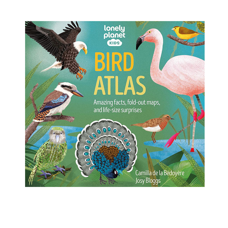 预售 英文原版 孤独星球儿童书 鸟类图集 Lonely Planet Kids Bird Atlas 鸟类百科 精装 课外阅读百科图书