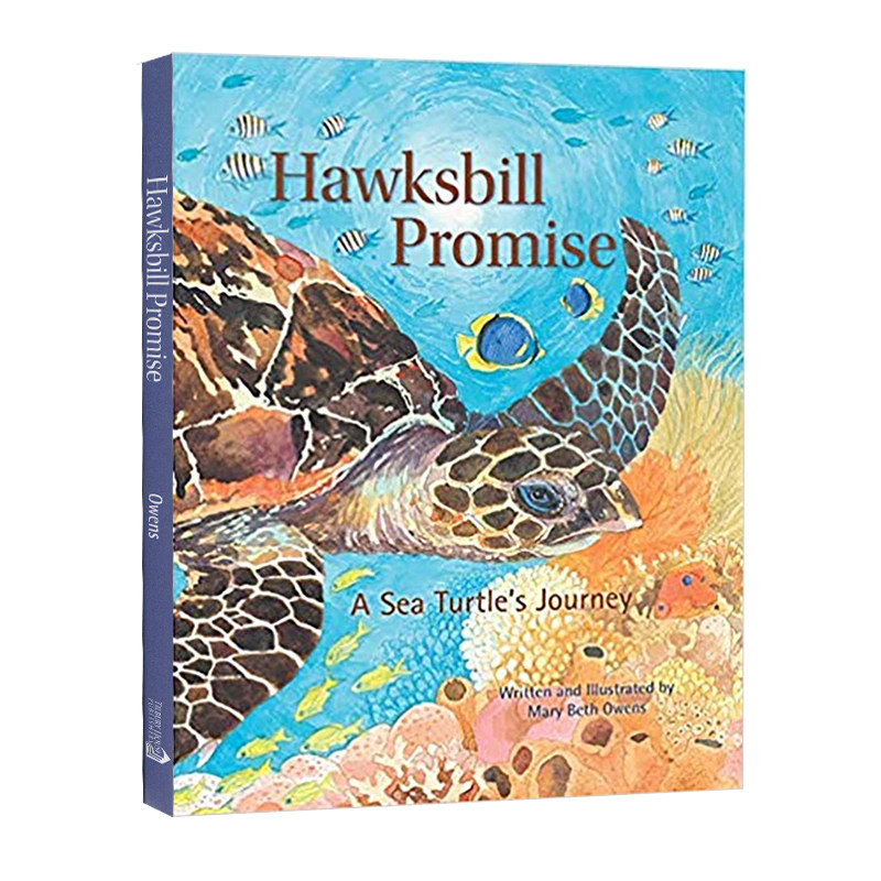 英文原版 hawksbill promise 精装  濒危海龟之旅 tilbury house