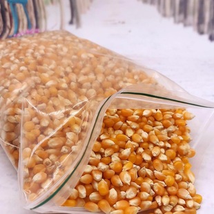 干玉米500G玉米粒 苞米 爆米花Popcorn corn农家玉米粒爆裂蝶型玉
