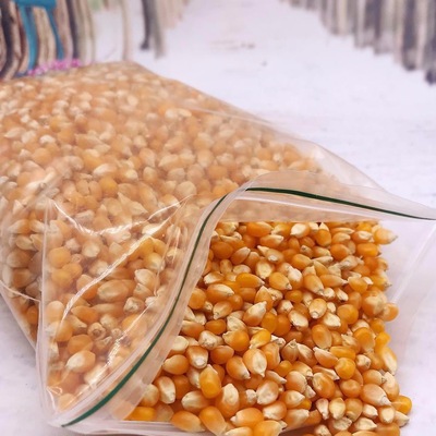 干玉米玉米粒苞米农家爆裂蝶型