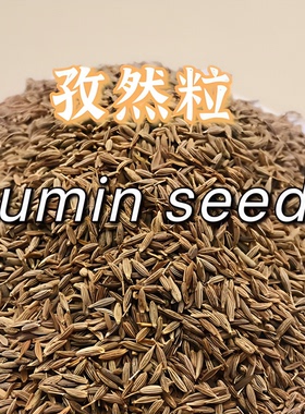 Cumin Seed孜然粒香料调料200G新疆孜然香 孜然籽 煮羊肉料调味料
