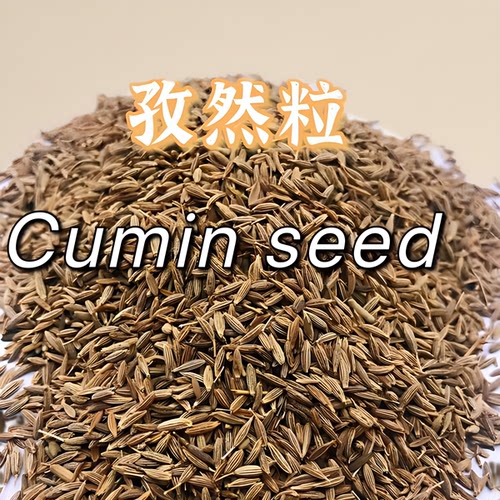 孜然200g新疆羊肉调味料