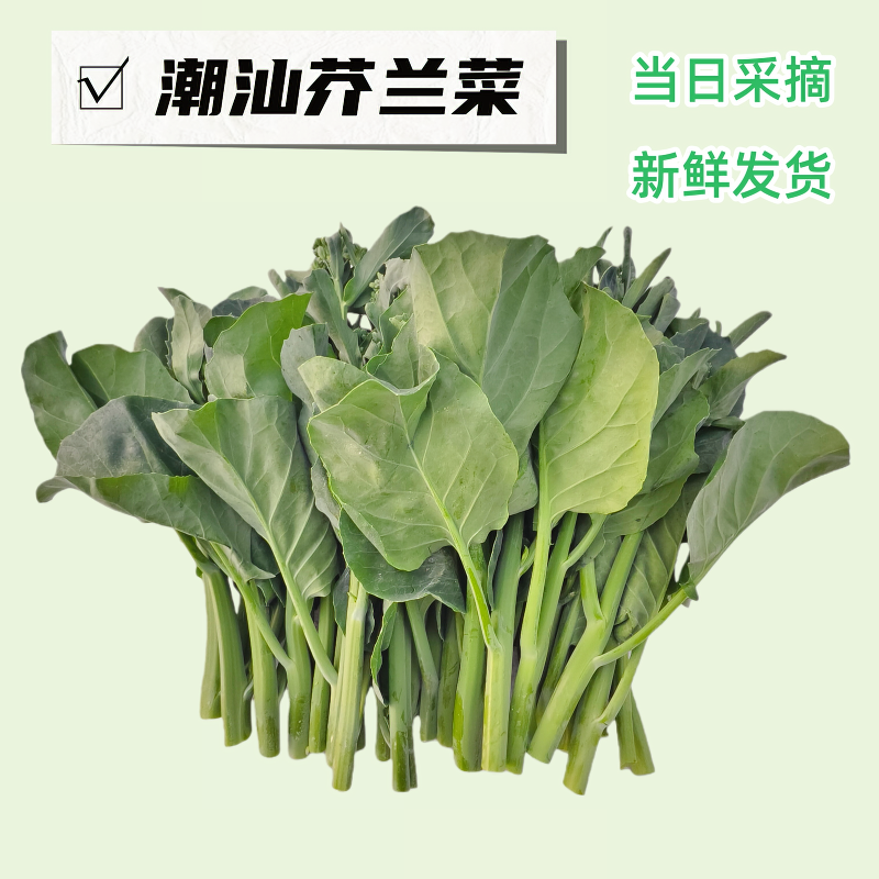 揭阳芥兰菜新鲜采摘当日发货广东潮汕叶菜类绿色蔬菜农家自种当季,水产肉类/新鲜蔬果/熟食,叶菜类,淘宝优惠券,粉丝福利购,淘宝优惠卷