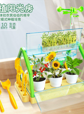 学优马阳光房儿童DIY种植套装玩具种子观察窗小学生幼儿园种菜盆
