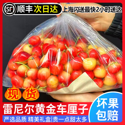 雷尼尔黄车厘子黄金樱桃礼盒