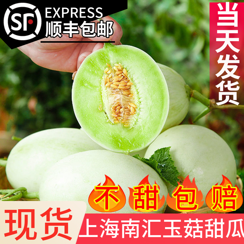 南汇玉菇【不甜包赔】顺丰包邮