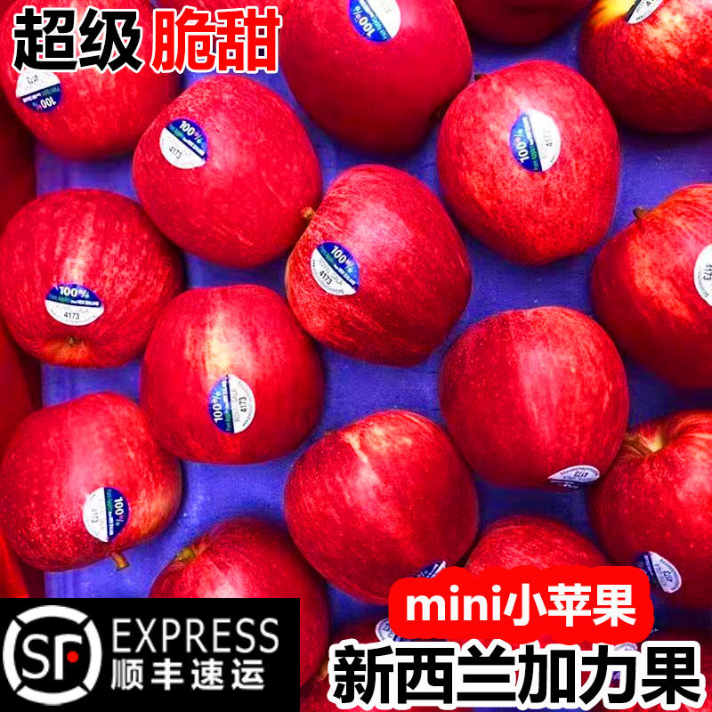 新西兰进口嘎啦加力姬娜小苹果gala红玫瑰新鲜水果顺丰邮标签随机 - 实物图
