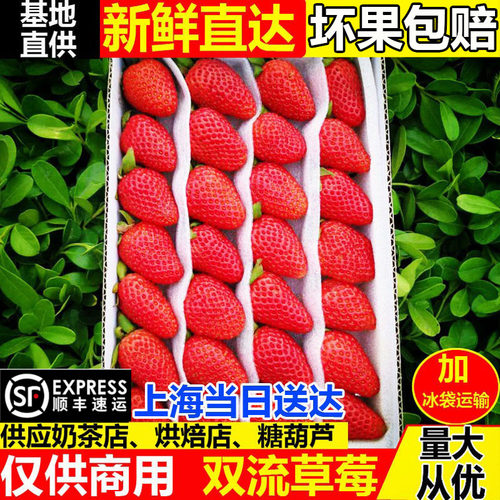 【顺丰极速达】商用酸草莓