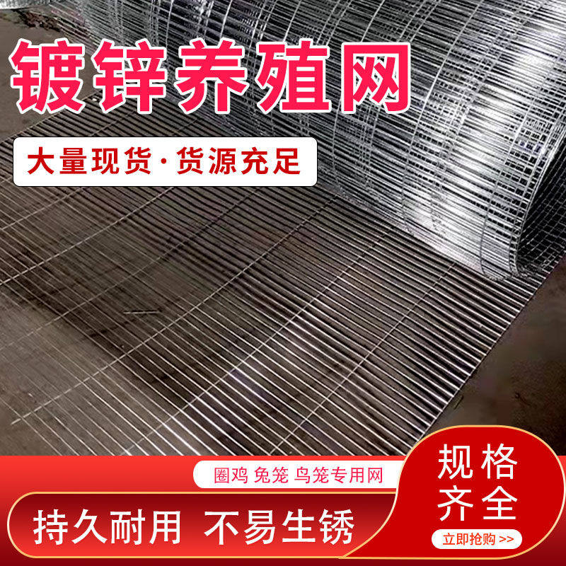 镀锌铁丝网围栏网片自制鸟笼材料养殖网鸡鸽舍兔笼隔离防锈钢丝网