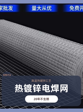 热镀锌钢丝网防锈围栏网养殖网铁丝网防鼠防蛇阳台封窗防护电焊网