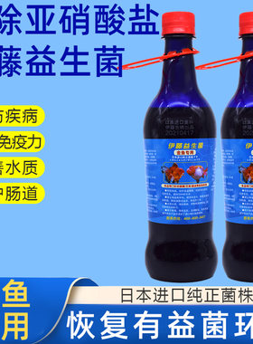 伊藤益生菌日本进口em菌原液硝化