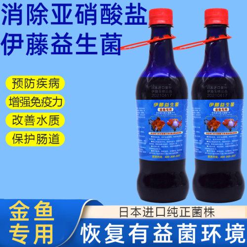 伊藤益生菌日本进口em菌原液硝化