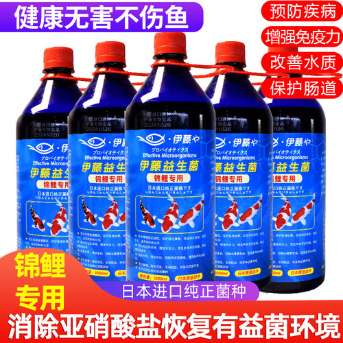 伊藤日本进口em菌原液硝化细菌锦
