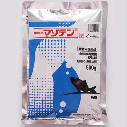 日本锦鲤马素田锦鲤金鱼专用