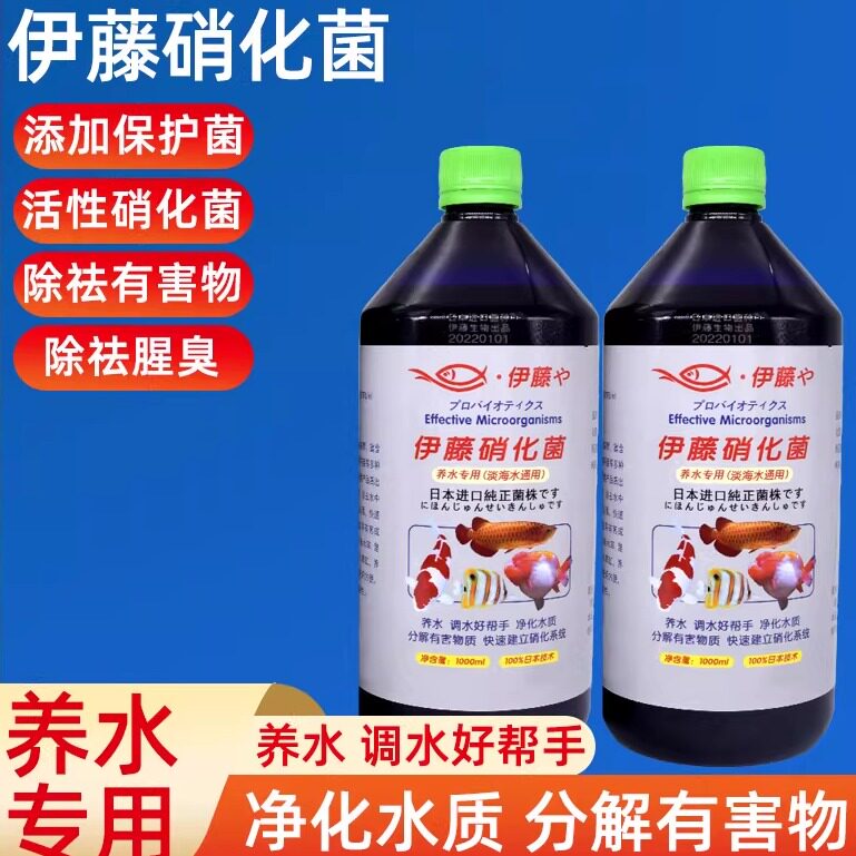 硝化菌伊藤益生菌日本进口em菌原液硝化细菌用水族水产养殖用