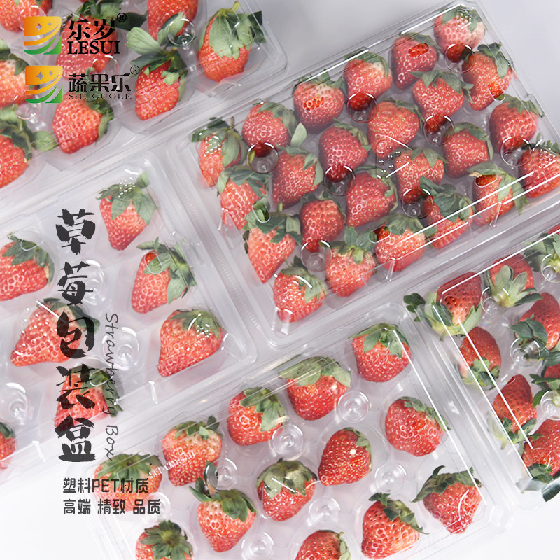 蔬果乐一次性透明塑料草莓包装盒带内托350g500g1000g塑料盒礼品,餐饮具,一次性餐盒,淘宝优惠券,粉丝福利购,淘宝优惠卷