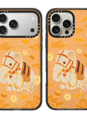 现货CASETiFY正品宫里的世界适用苹果iPhone17 pro max防摔富贵万象手机壳高端限量16/15/14/13奢华air保护套