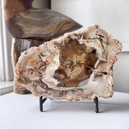 树化石原石价格 树化石原石图片 星期三