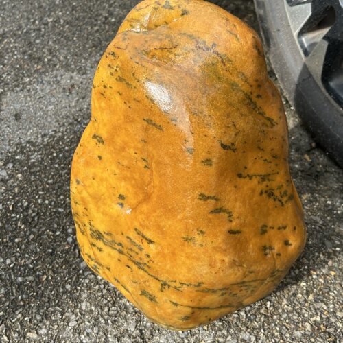 云南龙陵黄龙玉珠宝玉石精品水草花图案原石摆件乌龟晒台品质保证