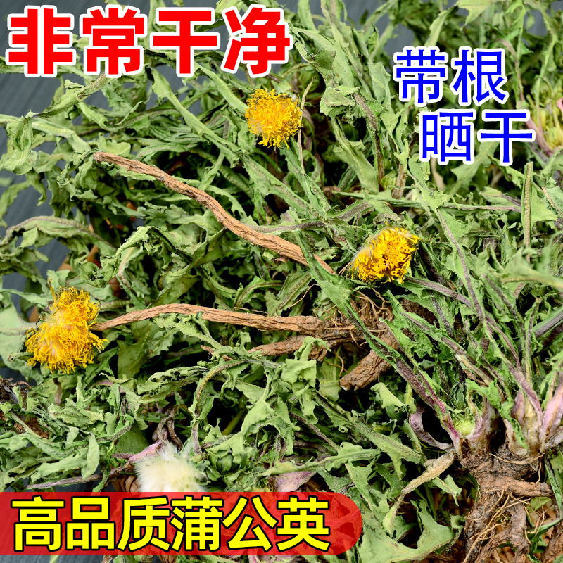 野生蒲公英茶整棵带根株花干叶浦婆丁正品特纯中草药材级冲泡袋装 茶 代用/花草茶 原图主图