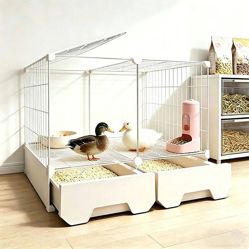 柯尔鸭专用笼子小房子小鸭子防臭鸡鸭鹅专用笼子小鸡用品养殖鸡笼