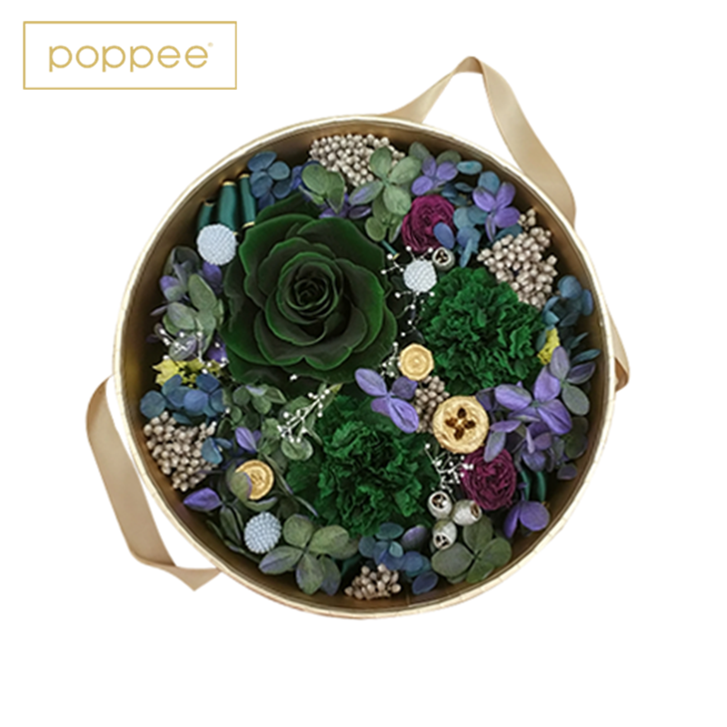 ¡¾²»µ¥¶ÀÊÛÂô¡¿poppeeÓÀÉú»¨ÀñºÐÂÌɫΨÃÎÂÌÒ°ÏÉ×Ùõ¹å¿µÄËܰÐåÇò