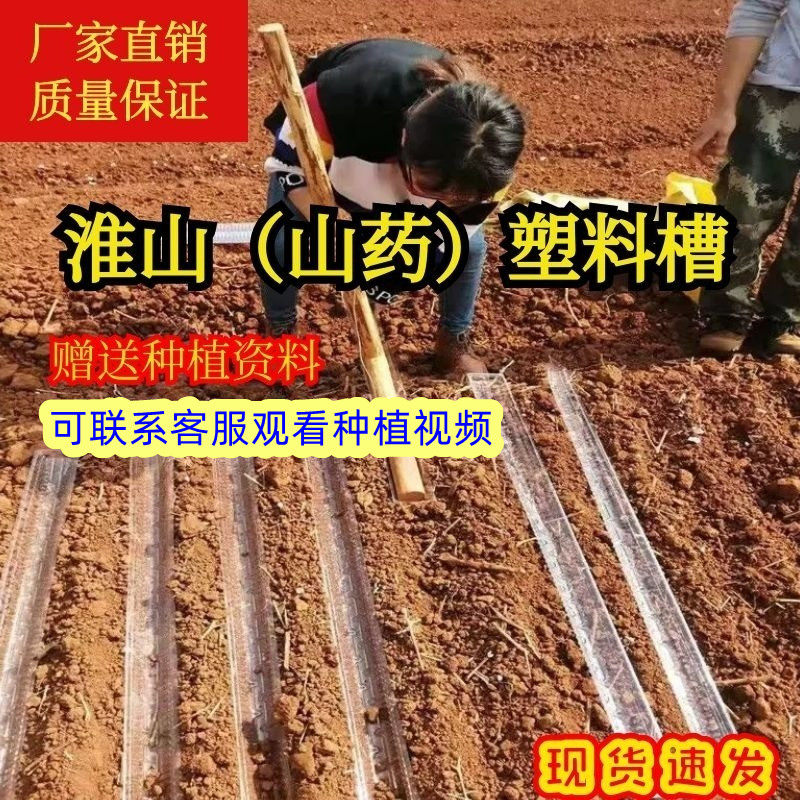 种山药神器加厚淮山种植引导槽的塑料槽u型槽浅生槽模具导管盒子