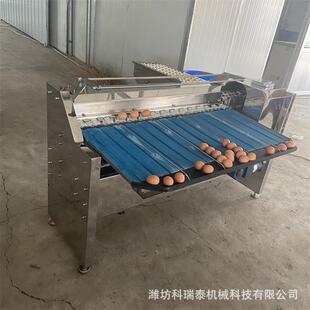 鸡蛋鸭蛋机械重量分级分选机 不锈钢蛋品重量分拣机 机械分级机