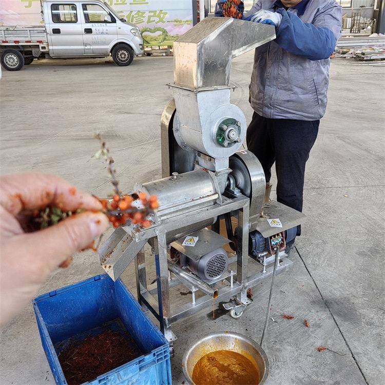 大型水果压榨脱汁机柠檬菠萝苹果商用果汁机工业番茄胡萝卜榨汁机