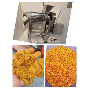 大型商用榨汁机 水果蓝莓榨汁机工业螺旋挤压机 沙棘果浆果压榨机